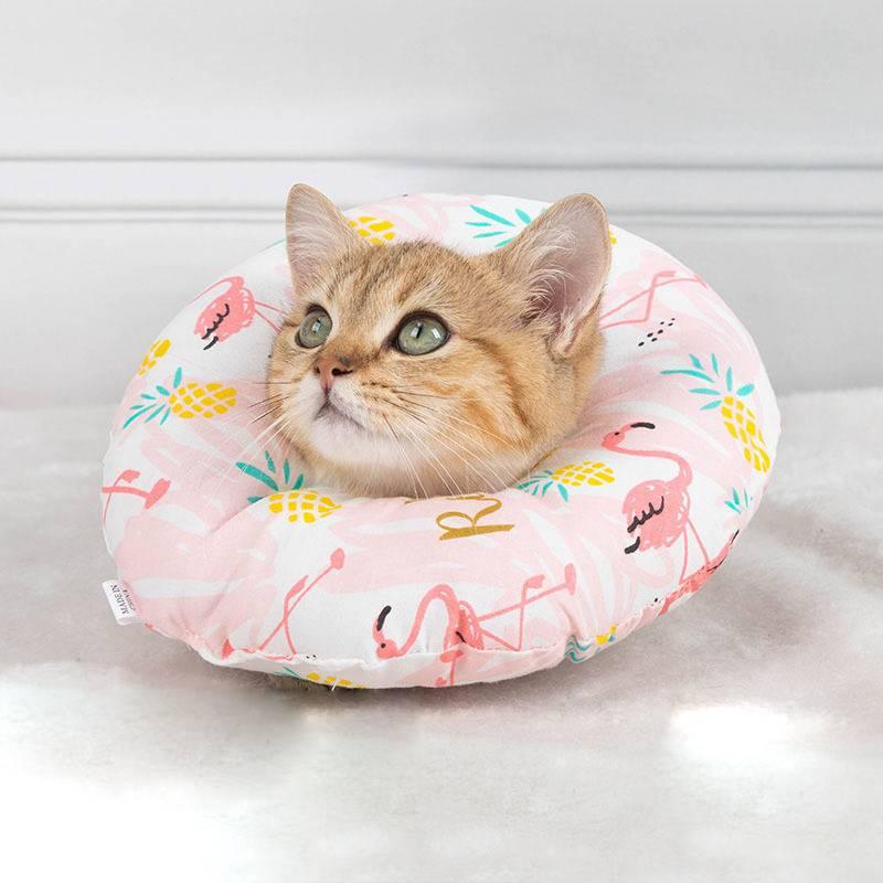 Whisker Wonderland Cat Collar