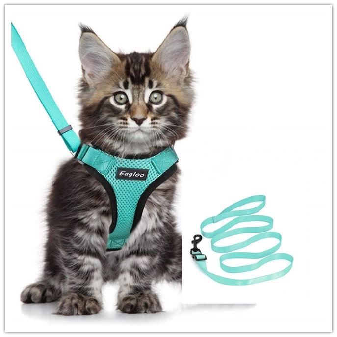 Escapeguard Cat Vest Harness And Car Seat Belt Adapter - Adjustable, Reflective, And Escape-Proof Harness For Cats And Small Dogs