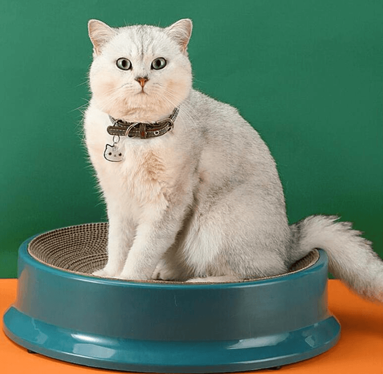 Scratch-Proof Cat Scratcher With Interchangeable Corrugated Paper