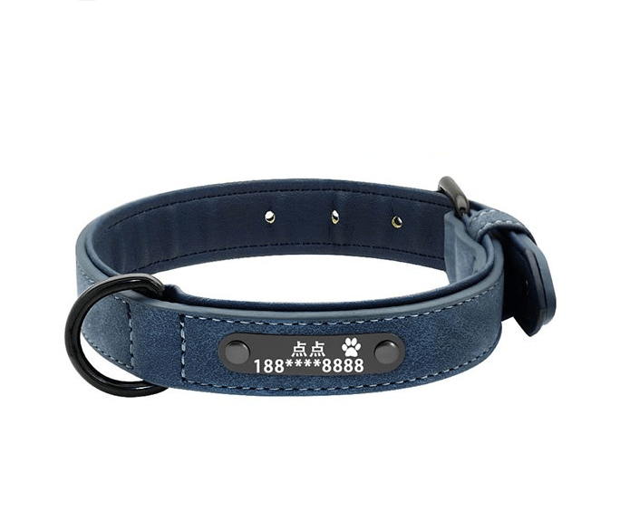 Personalized Pet Identity Card - Stylish And Durable Dog Tag