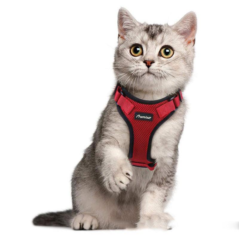 Escapeguard Cat Vest Harness And Car Seat Belt Adapter - Adjustable, Reflective, And Escape-Proof Harness For Cats And Small Dogs