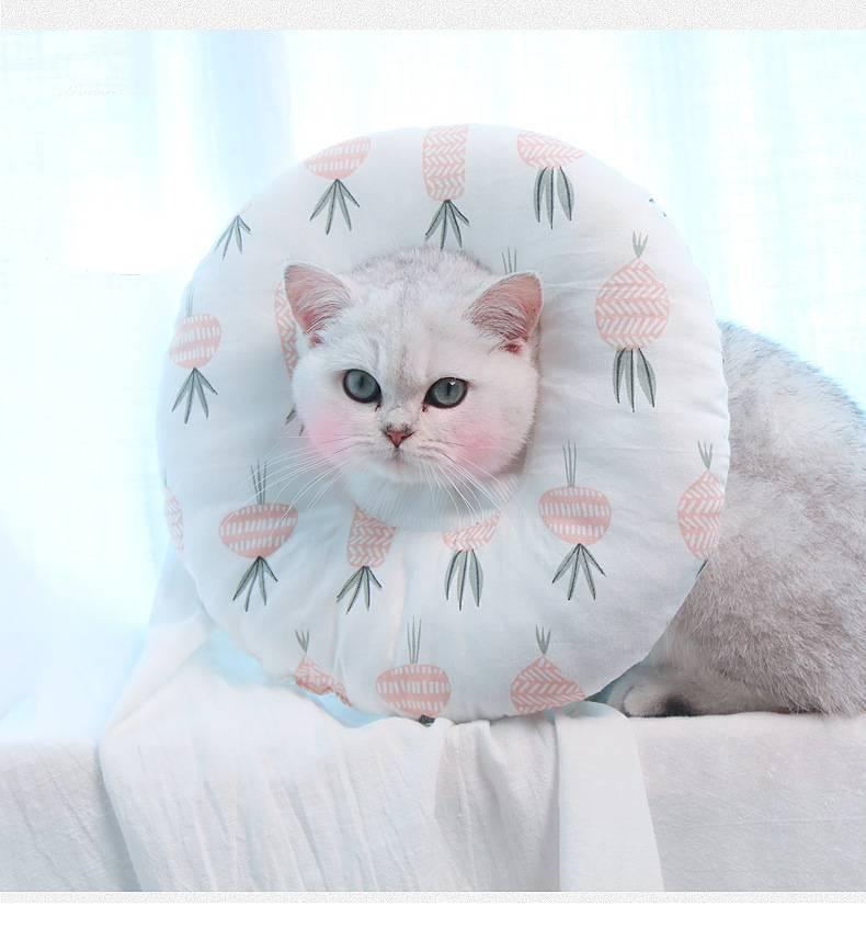 Whisker Wonderland Cat Collar