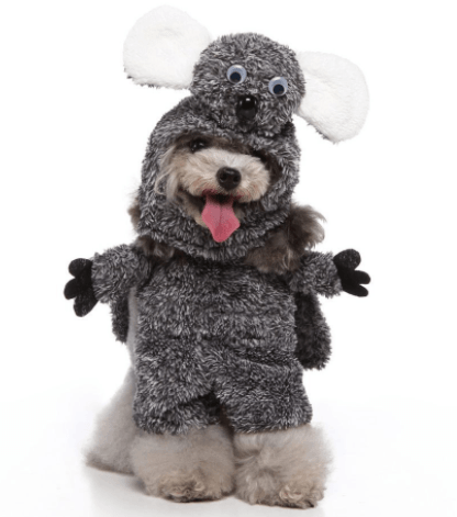 Funny Cosplay Pet Costume Set: Cute Cartoon Dog Outfit For Halloween And Christmas Dress-Up-3