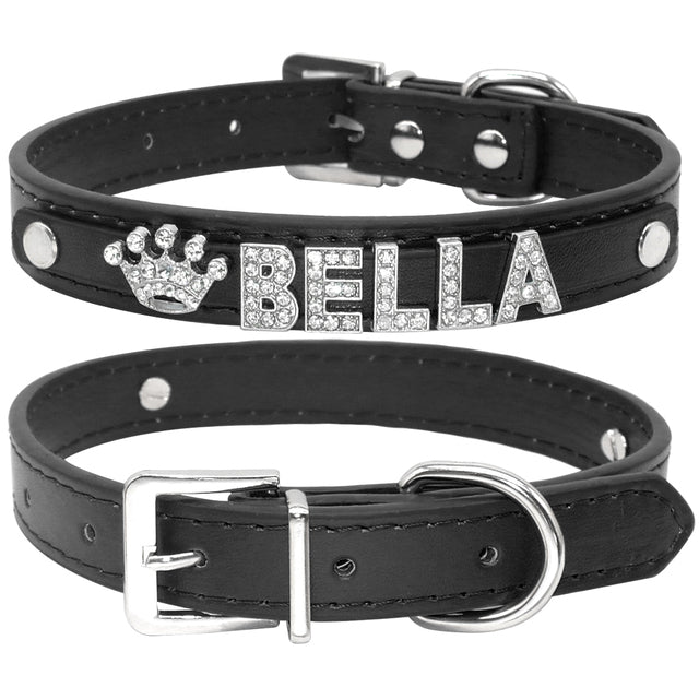 Cat and Small Dog Collar