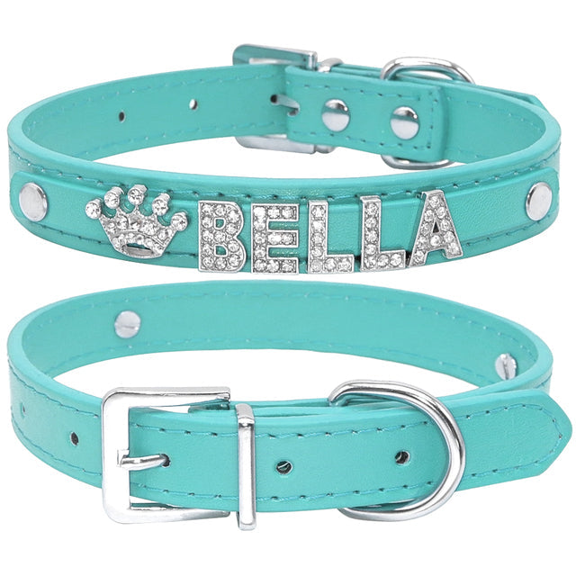 Cat and Small Dog Collar