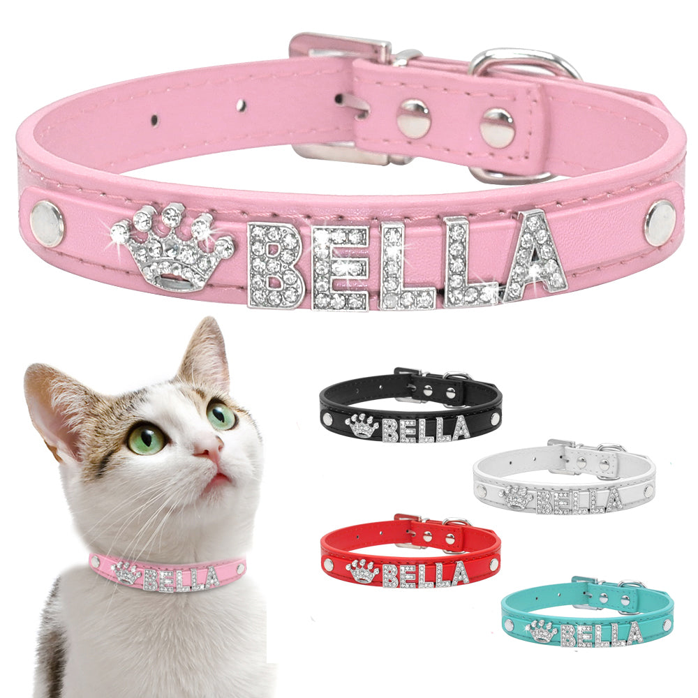 Cat and Small Dog Collar