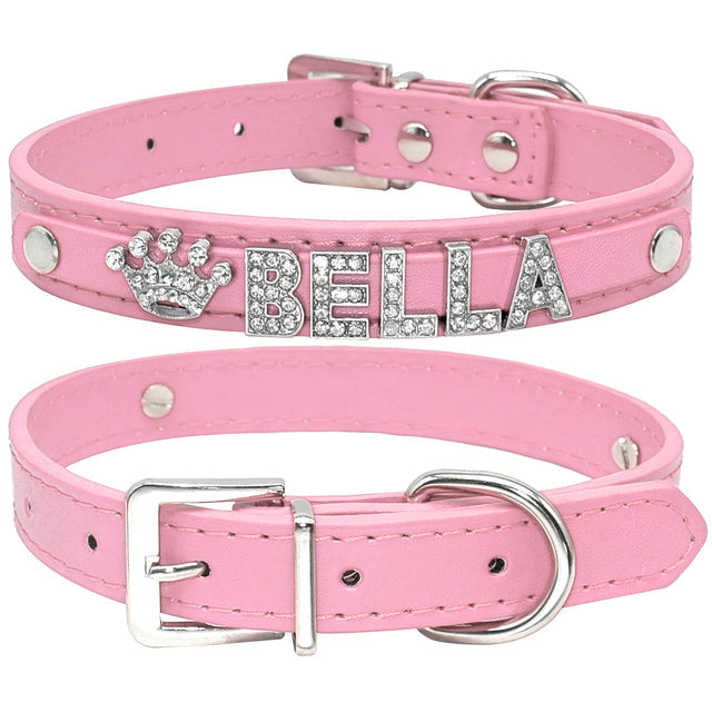 Cat and Small Dog Collar