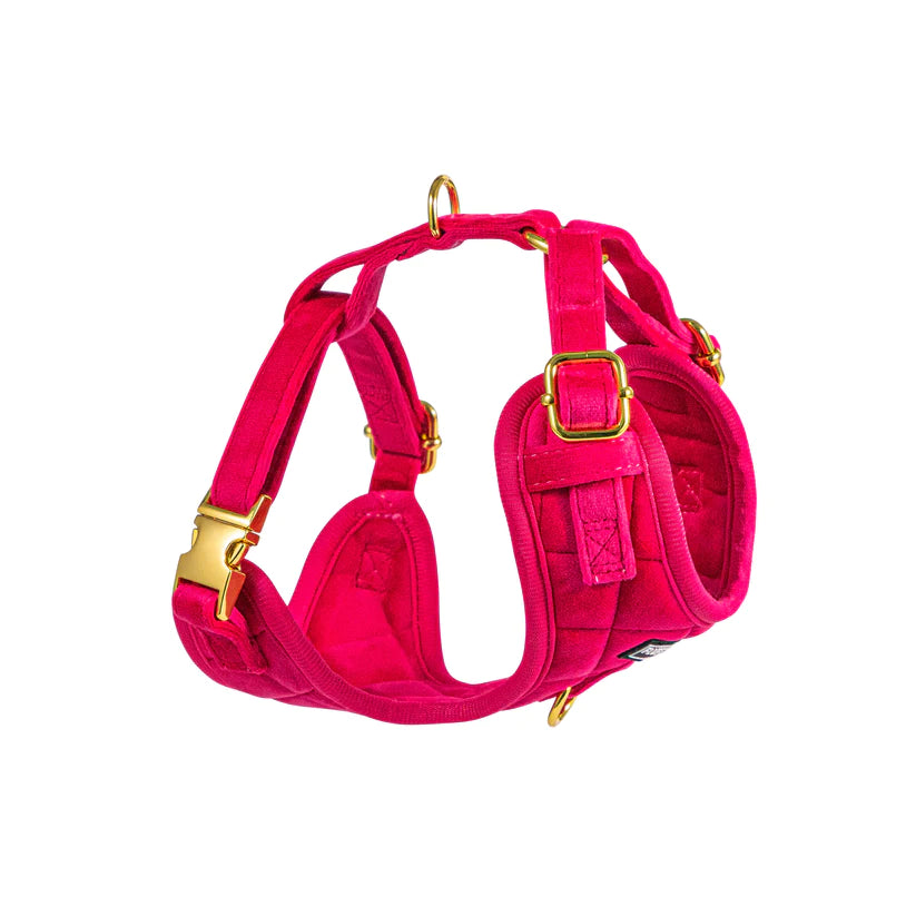 Pretty in Pink Collection- Dog Harness, Collar, Bow Tie, Lead and Poop Bag Holder by Fluffy Tailers