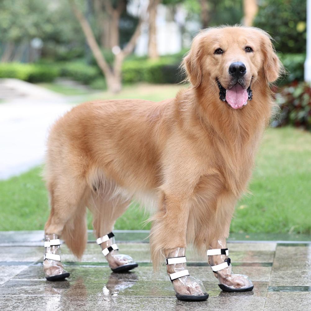 Waterproof Shoes For Pets Splash Proof