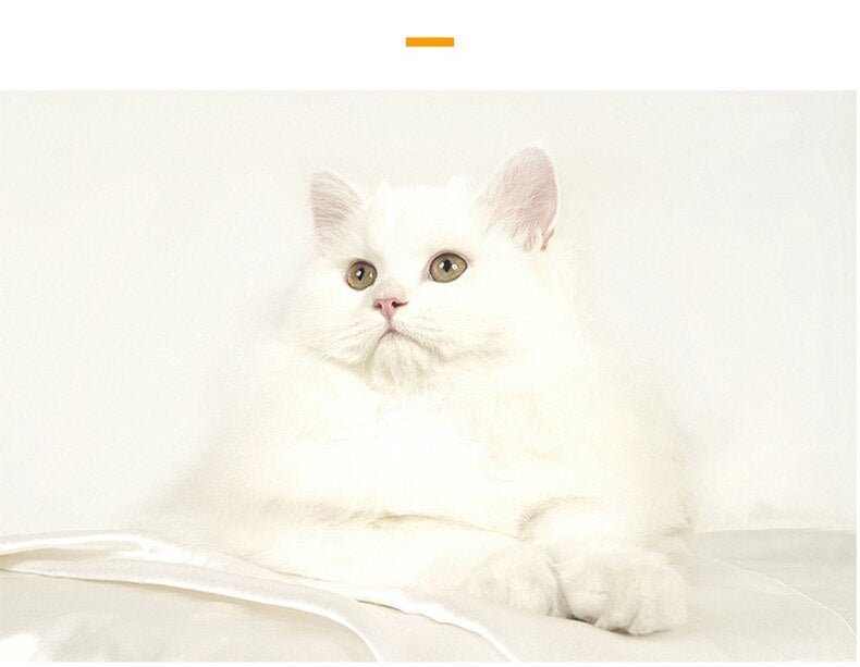 Cute Cat Bed House Warm Pet Kitten Mat Warm Basket for Cats Dogs Indoor Sleepping Bag Dog Kennel Nest Puppy Cushion Pet Supplies